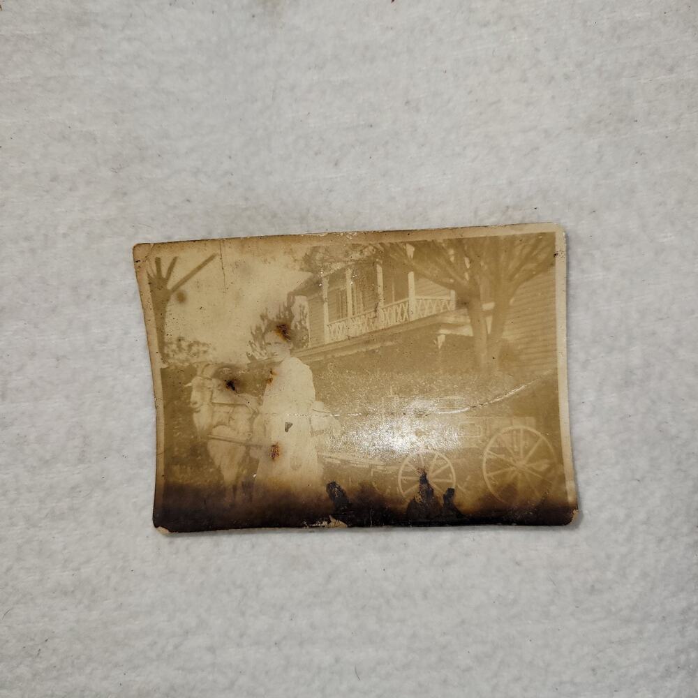 Antique Photo Western Woman Goat Carriage House Studio Photography 1800s Photos - Picture 3 of 6